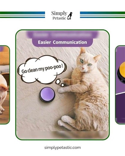 Recordable Pet Starter Talking Speaking Buttons Dog Training Communication Toys Interactive Toys ...