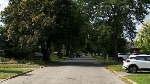 What is tree equity, and why does it matter?