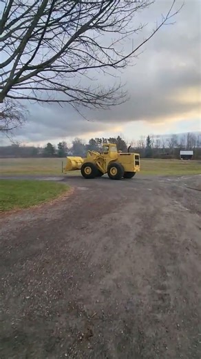 1970 Michigan 175GM Bucket Loader