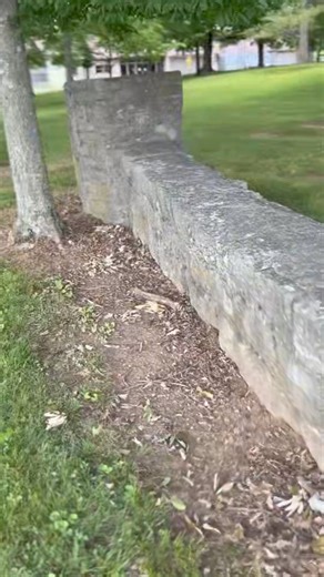 12K views · 171 reactions | Limestone ROCKS! Limestone is much more than just a rock, it’s a symbol of Tennessee! Learn about the role it plays in making Henry Horton State Park so amazing. Some of the best locations to see limestone st Henry Horton is the Hickory Ridge Inner & Outer Loop trail, Wilhoite Mill Trail, South Horton Trail System, and to see the original rock wall, take a walk just south of the entrance of the park, in front of the Lodge! | Henry Horton State Park | Facebook