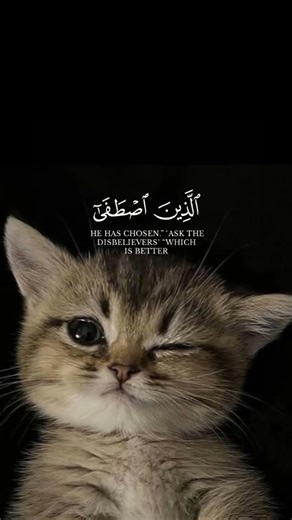 اکتب سیا تو جر الیہ ابداً رحمان مسجد