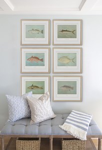 Framed Saltwater Fish Art Print Collection: Set of 6 Vibrant Ocean Paintings for Coastal Home Decor, Art Prints - Etsy