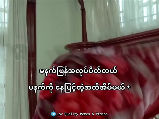 Explore Real Memes That Are Relatable and Fun