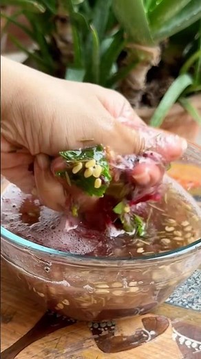 DIY Hibiscus🌺Hair Serum for Hair Fall Control, Hair Growth & Shine | Natural Anti-Hair Fall Remedy
