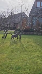 1.2K views | ℙ핖핥핖핣학핖핒핕 핃핚핧핖 on Reels | Facebook