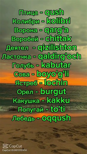 Птицы. #vocabulary