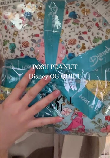 Unboxing the Posh Peanut Disney Princess Quilt
