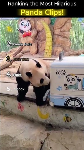 Top 5 Funniest Panda Clips! 😂🐼 | Cute & Silly Moments