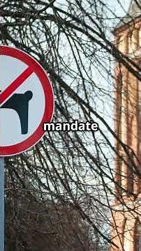 Protect Your Dog from Rabies 🐾 | Symptoms, Prevention & Vaccine Tips! 🐶