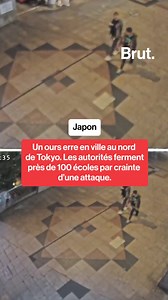 Un ours erre en ville au nord de Tokyo. Les autorités ferment près de 100 écoles par crainte d’une attaque. #japon