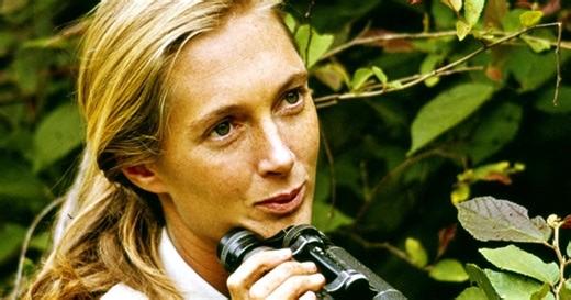 Jane Goodall's friend remembers the animal advocate: "She is an inspiration for all of us"