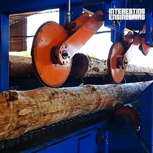 964K views · 1.5K reactions | From cleaning logs to sorting them, this process is too good to miss. 望‍♂️  Mendes Máquinas #engineering | Interesting Engineering | Facebook