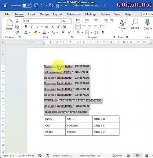 Steps to tidy up sentences in Microsoft Word document fields #office #excel #word
