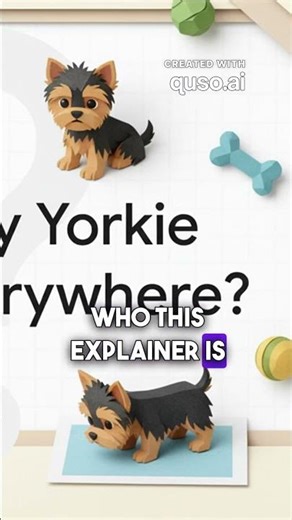 Yorkie Potty Training: You're Not Alone! Why Can't I Pottytrain/Housetrain my Yorkie? Yorkshire
