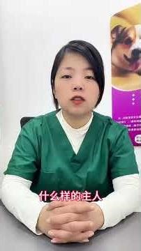 Top 5 Best Guard Dogs for Home Security