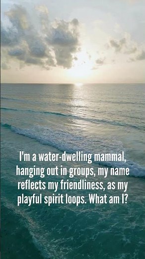 Animal Quiz: What am I?