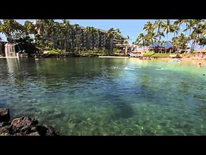 The Lagoon at Hilton Waikoloa Village