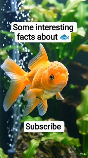 some interesting facts about fish