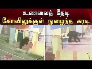 உணவைத் தேடி கோவிலுக்குள் நுழைந்த கரடி