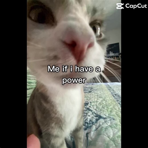 Minionstonightwestealthemoon!! (@allisonmontport1)’s videos with sonido original - Minionstonightwestealthemoon!!