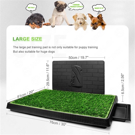 Your Pet (and His Paws) Will Thank You for Artificial Grass