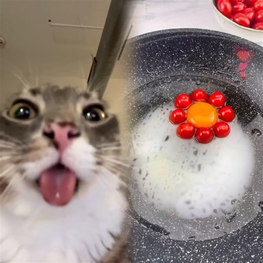 Charlie charlie kirki #meme #cat #fyp #funn #kirk