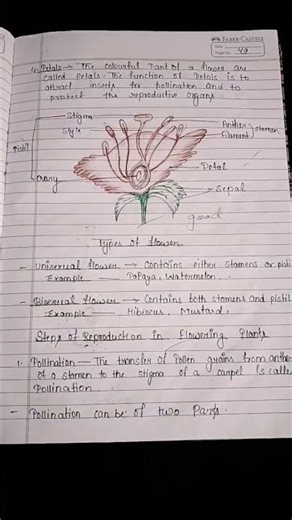 class 10 ncert bio ch 3 notes