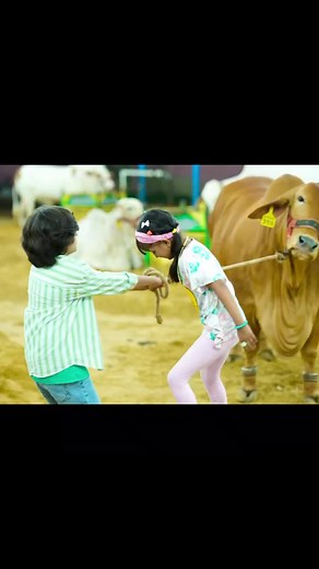 New Eid-Ul-Adha Song Bado Badi - Bakra Eid 2024 Special
