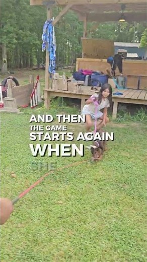 Cute Red Doberman Pinscher Puppy Training