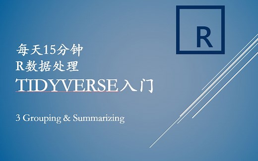 3.3 数据成组和总结