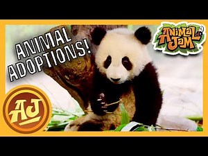 Adorable Animal Adoptions! | Animal Jam