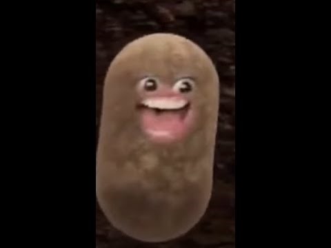 How to download backyard baseball with scummvm