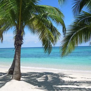 31K views · 2.3K reactions | Feel the vibes Jamaika  | TUI | Facebook