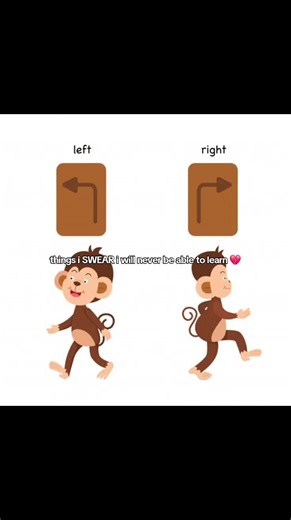 Understanding the Division of Learning Styles