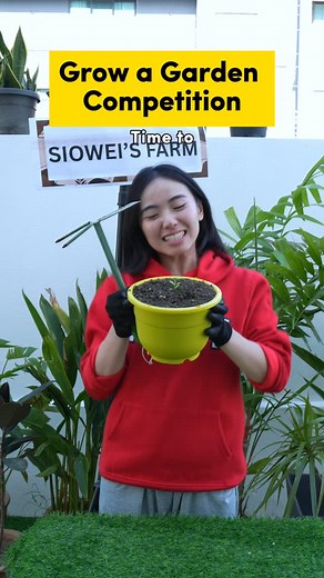 96K views · 3.3K reactions | Do you like planting? #yaey #home #mom #plant #competition | Im_siowei | Facebook