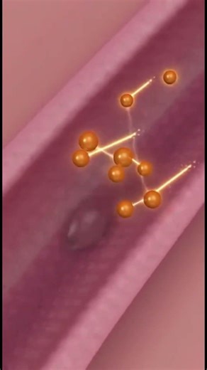 Why Timing Matters for Implantation (3D Medical Animation)