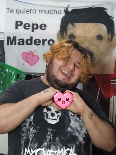 Laufey - From The Start (Cover) | Good Kid | Pepe Madero