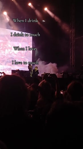 Yung Lean and Bladee Live Performance Highlights