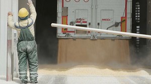 Video. Ukrainian farmers export their harvest via Romania