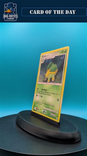 Grotle - #pokemon #pokemontcg #pokemoncards #bigdotescards