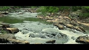 This is why we love Sweetwater Creek State Park. #findyourpark Video by Jeremy Cournyea www.jeremycournyea.com | Explore Georgia