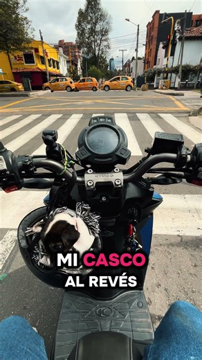 Una nueva oportunidad para un perro #cachorrosdivertidos #adopta #perro #motos