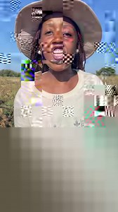 48K views · 1.8K reactions | Conservation Agriculture is what I will strongly advocate for A lot of the times I’ve shared on conventional farming but to create a sustainable and resilient agribusiness sustainability is the starting point #InvestInWomen #UUInitiatives #learningAlliance CGIAR GENDER Bram Govaerts Cimmyt International Maize and Wheat Improvement Center (CIMMYT) International Water Management Institute (IWMI) | The Young Farmer Maanda | Facebook