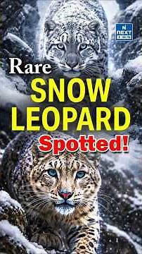 Snow Leopard Spotted in Ladakh — A Win for Wildlife & Infrastructure | UPSC | NEXT IAS