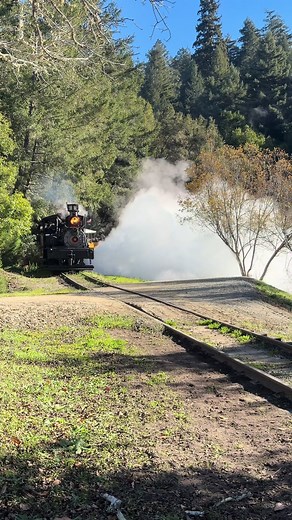 Understanding the Boiler Blowing Down Process on Steam Trains