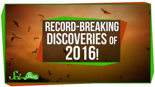 Record-breaking discoveries of 2016!