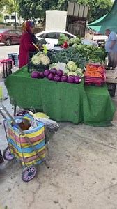 Ilıca Basar 🍏🍎🍉🍇🍓🍒 | Antalya side M.başaran Prodüksyion