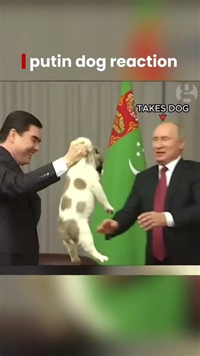 Putin Takes the Dog 😳 | Awkward Moment When Turkmen President Lifts Puppy by Scruff | #shots