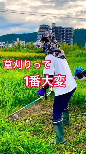 農業女子 真夏の草刈り作業 #kubota #現代農業 #farming #草刈り #草刈機 #農業 #農家 #農業女子