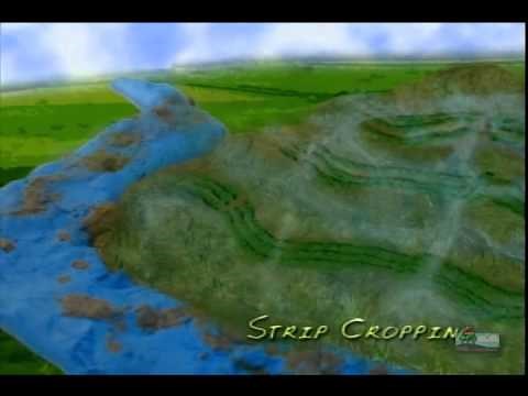 Nonpoint Source Pollution - Into the Outdoors episode
